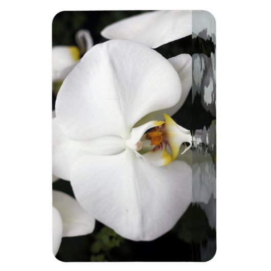 Witte orchideeën in water Flexibele fotomagneet Magneet (Verticaal)