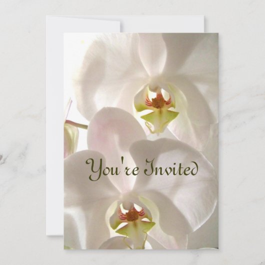 Witte Orchideeën_ Kaart (Voorkant)