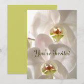 Witte Orchideeën_ Kaart (Voorkant / Achterkant)
