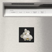Witte orchideeën magneet (Insitu (Vaatwasser))