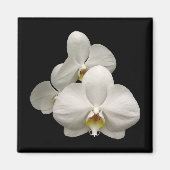 Witte orchideeën magneet (Voorkant)