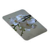 Witte orchideeën magneet (Rechterzijde)