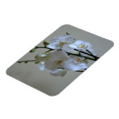 Witte orchideeën magneet (Linkerzijde)