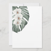 Witte orchideeën op de 100e verjaardag van de Mons Kaart (Achterkant)