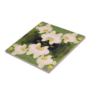 Witte orchideeën op een groene achtergrond tegeltje