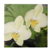Witte orchideeën op een groene achtergrond tegeltje (Voorkant)