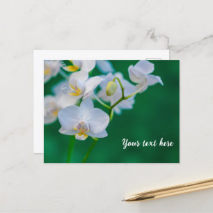 Witte orchideeën op groen briefkaart