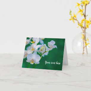 Witte orchideeën op groene wenskaart kaart