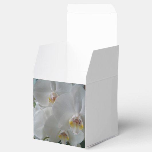 Witte Orchideeën op persoonlijke fornuizen Bedankdoosjes (Geopend)