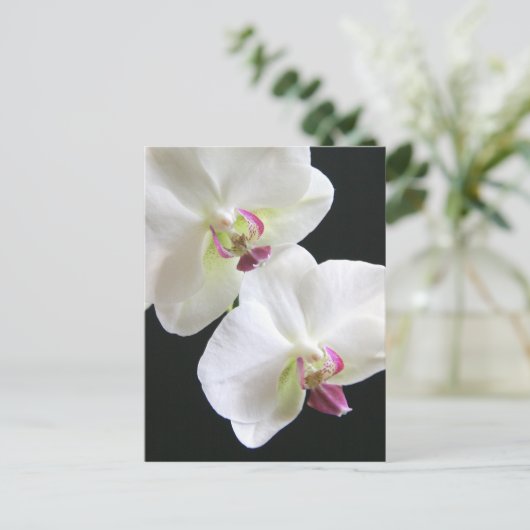 Witte orchideeën op zwart briefkaart (Staand voorkant)