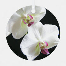 Witte orchideeën op zwart