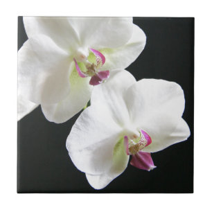 Witte orchideeën op zwart tegeltje