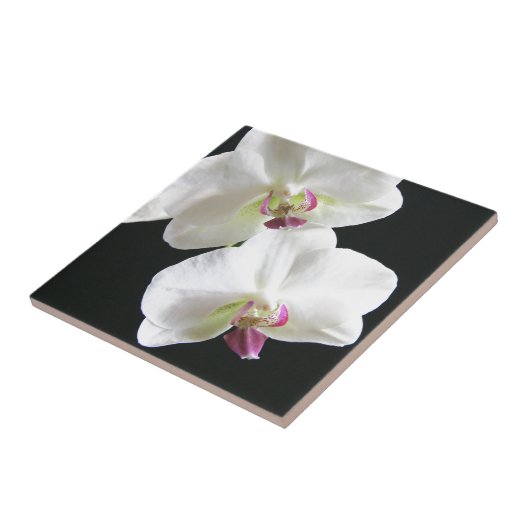 Witte orchideeën op zwart tegeltje (Zijkant)