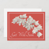 Witte orchideeën Oranje Achtergrond Beterschap Briefkaart (Voorkant / Achterkant)