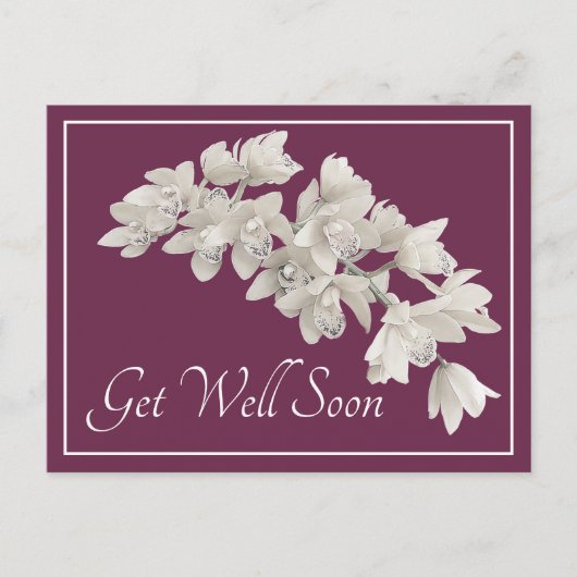 Witte orchideeën paarse achtergrond beterschap briefkaart (Voorkant)
