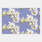 Witte orchideeën periwinkle blauw lavendel inpakpapier vel (Voorkant 2)
