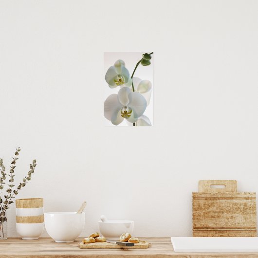 Witte orchideeën poster (Keuken)