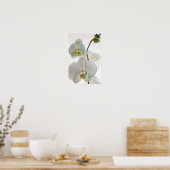 Witte Orchideeën Poster (Keuken)