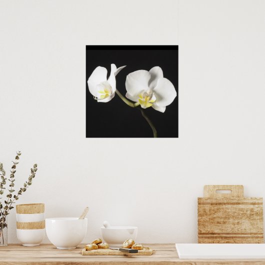 Witte orchideeën poster (Keuken)