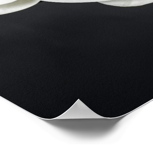 Witte orchideeën poster (Hoek)