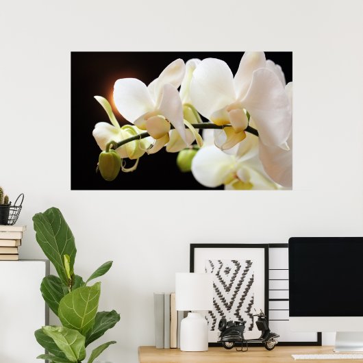 Witte Orchideeën Poster (Thuiskantoor)