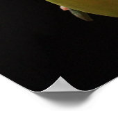 Witte Orchideeën Poster (Hoek)