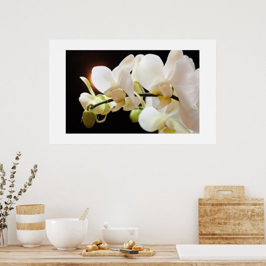 Witte Orchideeën Poster (Keuken)