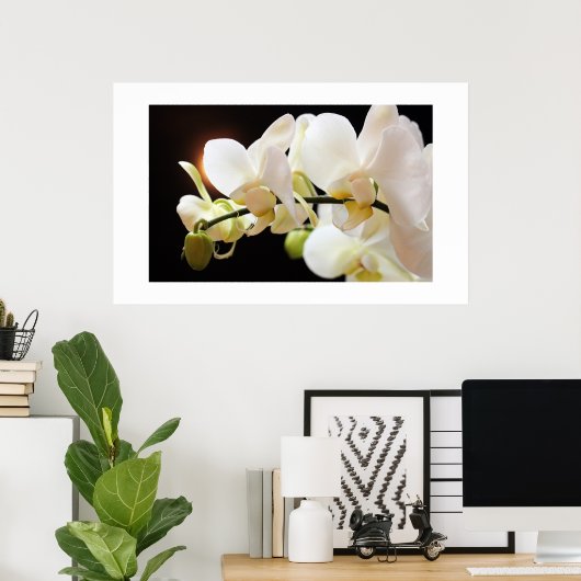 Witte Orchideeën Poster (Thuiskantoor)