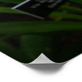 Witte orchideeën prachtige tropische bloemen poster (Hoek)