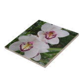 Witte orchideeën prachtige tropische bloemen tegeltje (Zijkant)