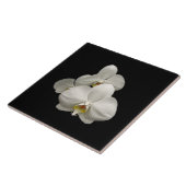 Witte orchideeën tegeltje (Zijkant)