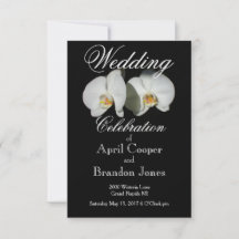 Witte Orchideeën tropische bloemen