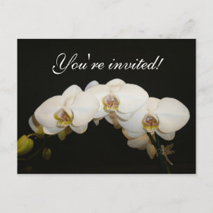Witte orchideeën uitnodiging briefkaart