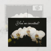 Witte orchideeën uitnodiging briefkaart (Voorkant / Achterkant)