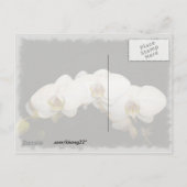 Witte orchideeën uitnodiging briefkaart (Achterkant)