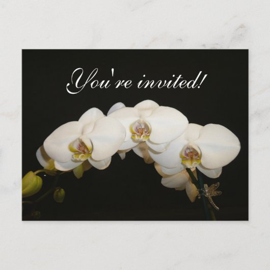 Witte orchideeën uitnodiging briefkaart (Voorkant)