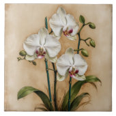 Witte Orchideeënbloemen  Botanisch Tegeltje (Voorkant)