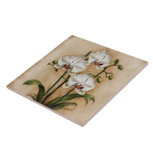 Witte Orchideeënbloemen  Botanisch Tegeltje (Zijkant)