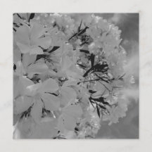 Witte Overhuifde Bloemenuitnodiging