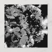 Witte Overhuifde Bloemenuitnodiging Menu (Achterkant)