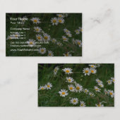 Witte Oxeye-daisy-bloemen Visitekaartje (Voorkant / Achterkant)