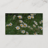 Witte Oxeye-daisy-bloemen Visitekaartje (Achterkant)
