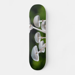 Witte Oyster Autumn paddenstoelen Persoonlijk Skateboard