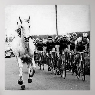 Witte Paard 1975 Tour De France Kleur Redux Poster