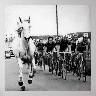 Witte Paard 1975 Tour De France Kleur Redux Poster