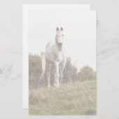 Witte paard briefpapier (Voorkant / Achterkant)