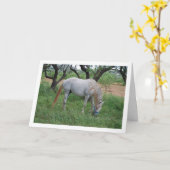 Witte paard dat graast in het grasveld kaart (Gele Bloem)