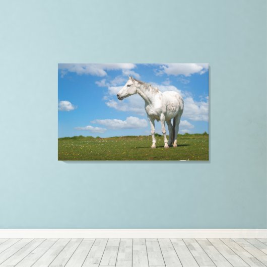 Witte Paard Fotografie Canvas (Insitu (Houten vloer))