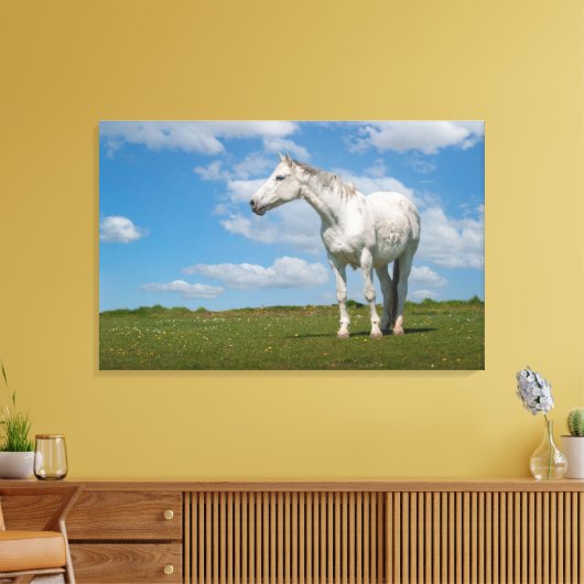 Witte Paard Fotografie Canvas (Insitu (Woonkamer))
