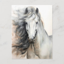 Witte Paard Illustratie Postcrossing Briefkaart